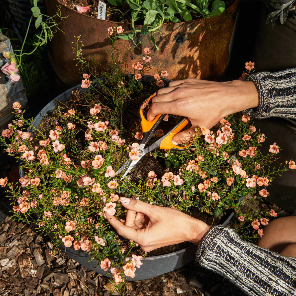 Ножица за цветя Fiskars Solid SP151 - Nika.bg