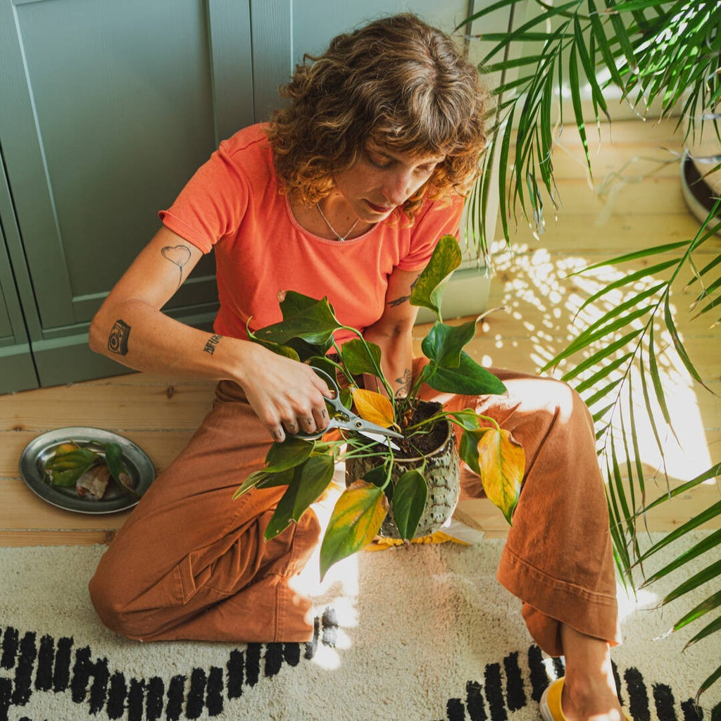 Прецизна ножица за цветя Fiskars Urban с поставка