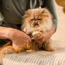 Грууминг ножица Fiskars за прецизно оформяне на козина