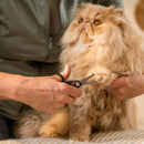 Грууминг ножица Fiskars за прецизно оформяне на козина