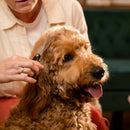 Грууминг ножица Fiskars за подстригване на козина