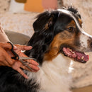 Грууминг ножица Fiskars за подстригване на козина