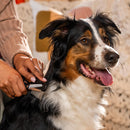 Грууминг ножица Fiskars за филиране на козина