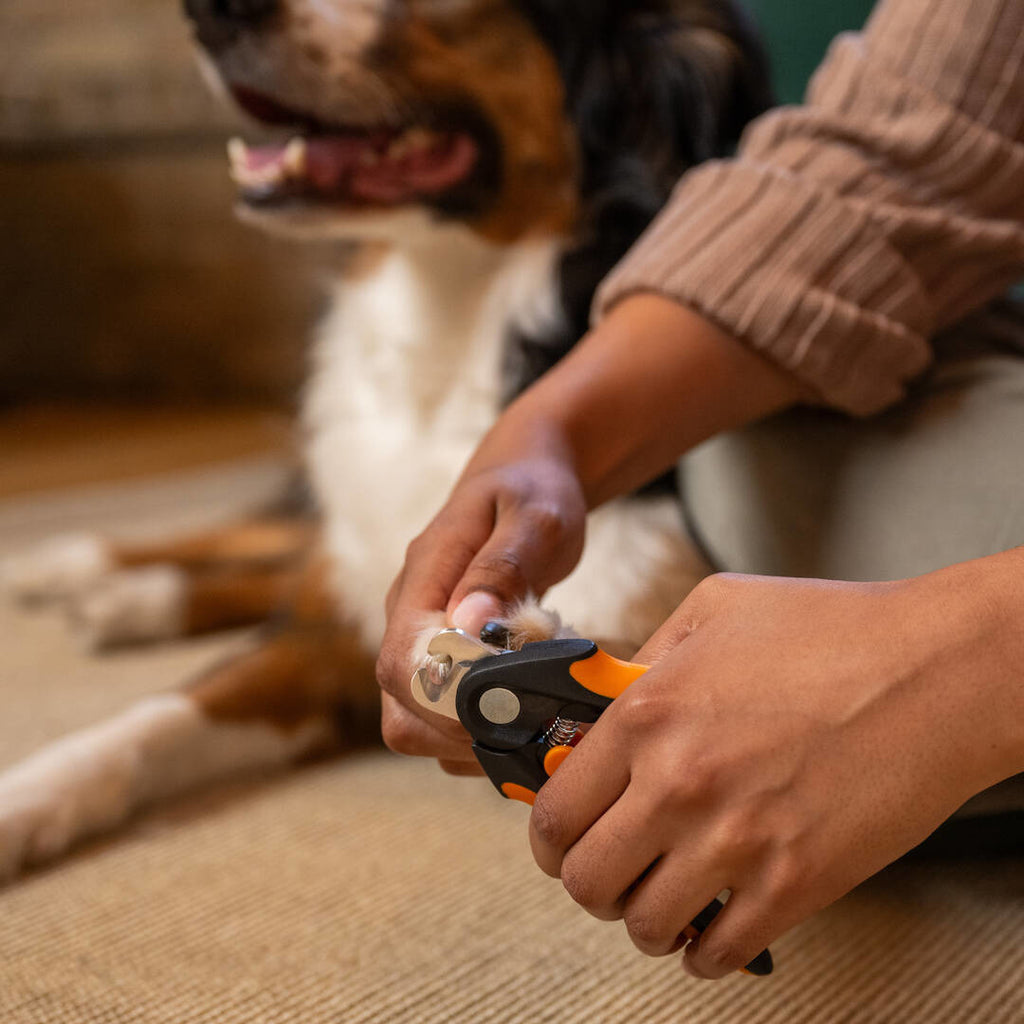 Нокторезачка за кучета Fiskars - Nika.bg