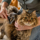 Гребло Fiskars за разресване на сплъстена козина