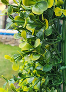 Декоративни плочки КАМЕЛИЯ UV 4 броя 50x50 cm