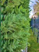 Декоративни плочки ТУЯ UV 4 броя 50x50 cm