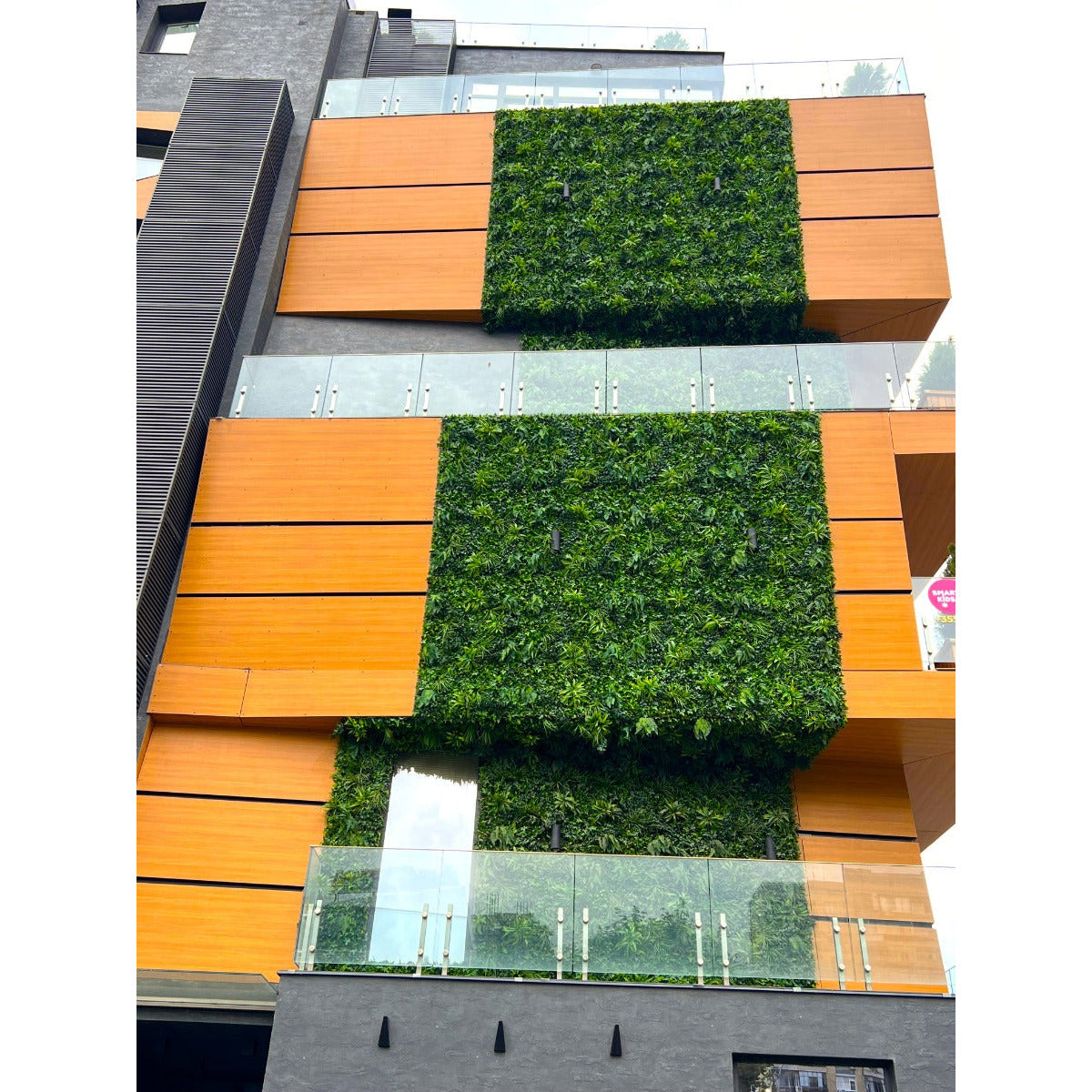 Декоративна плочка ПАПРАТ и БРЪШЛЯН UV 100x100 см.