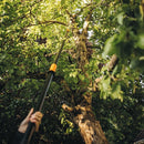 Човек използва телескопична ножица за високи клони под зеленина, достигайки високи клони на дърво.