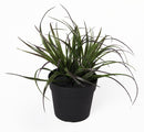 Изкуствено растение в саксия ТИЛАНДСИЯ UV H=20 см.