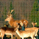 Оградна мрежа URSUS