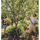 Младо семейство подрязва клони на дърво в градина с телескопични ножици UPX86.