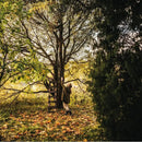 Човек стои до дърво, използвайки стълба, обгърнат от зеленина и есенни листа.