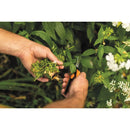 Ножица за цветя Solid Microtip SP130