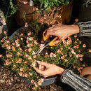 Ножица за цветя Fiskars Solid SP151