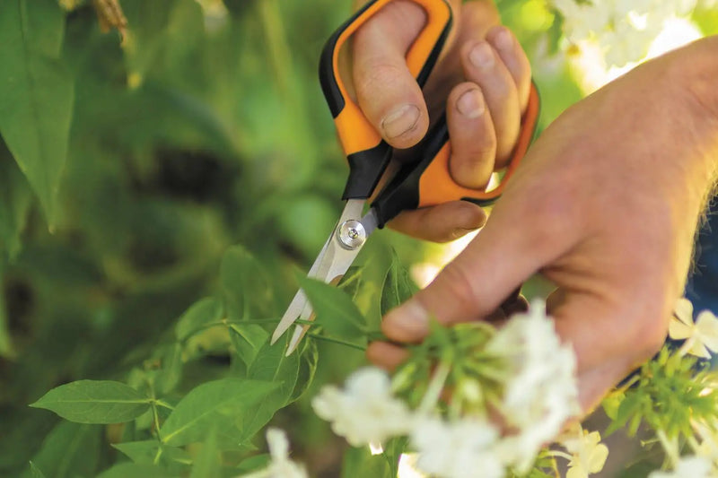 Ножица за цветя Fiskars Solid SP151