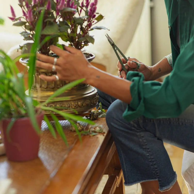 Ножица за цветя Fiskars Urban с поставка