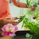 Прецизна ножица за цветя Fiskars Urban с поставка