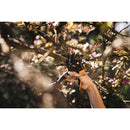 Лозарска ножица с пресрещащи се остриета PowerStep™ P83