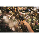 Лозарска ножица с пресрещащи се остриета PowerStep™ P83