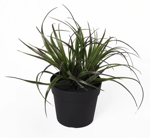 Изкуствено растение в саксия ТИЛАНДСИЯ UV H=20 cm