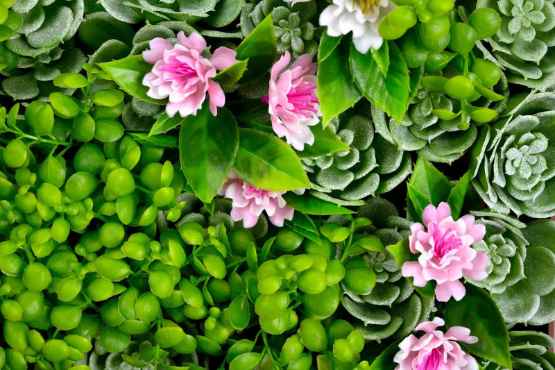 Декоративно квадратно пано за стена СУКУЛЕНТНИ РАСТЕНИЯ UV 50х50 cm