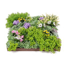 Декоративно квадратно пано за стена СУКУЛЕНТНИ РАСТЕНИЯ UV 50х50 cm