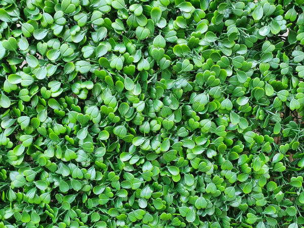 Декоративни плочки ЧЕМШИР UV 4 броя 50x50 cm