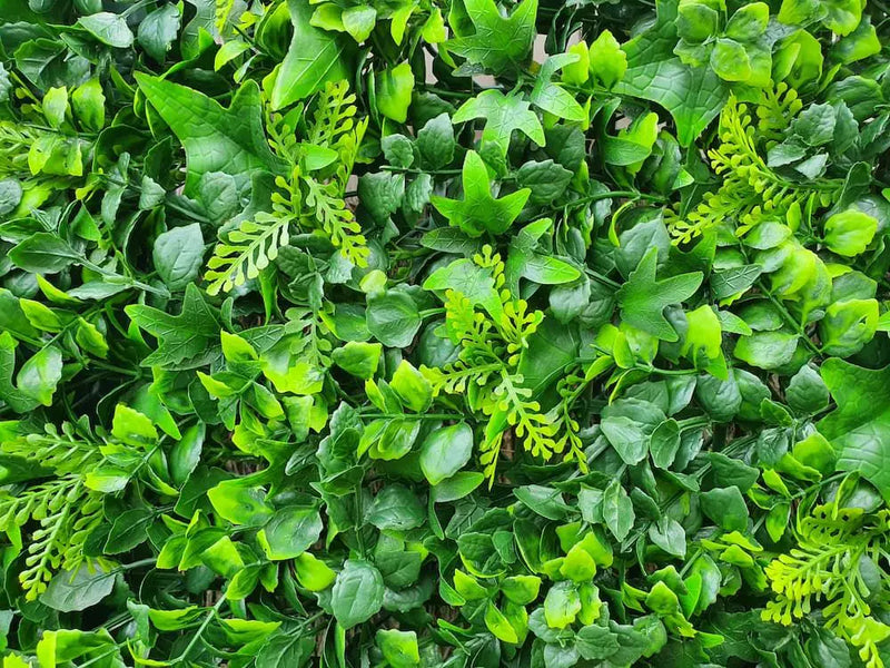 Декоративни плочки БРЪШЛЯН и ЧЕМШИР UV 4 броя 50x50 cm