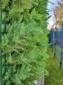 Декоративни плочки ТУЯ UV 4 броя 50x50 cm