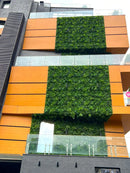 Декоративна плочка ПАПРАТ и БРЪШЛЯН UV 100x100 cm