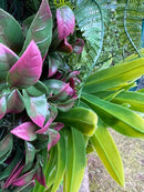 Декоративна плочка ПАПРАТ и АЗАЛИЯ UV 100х100 cm