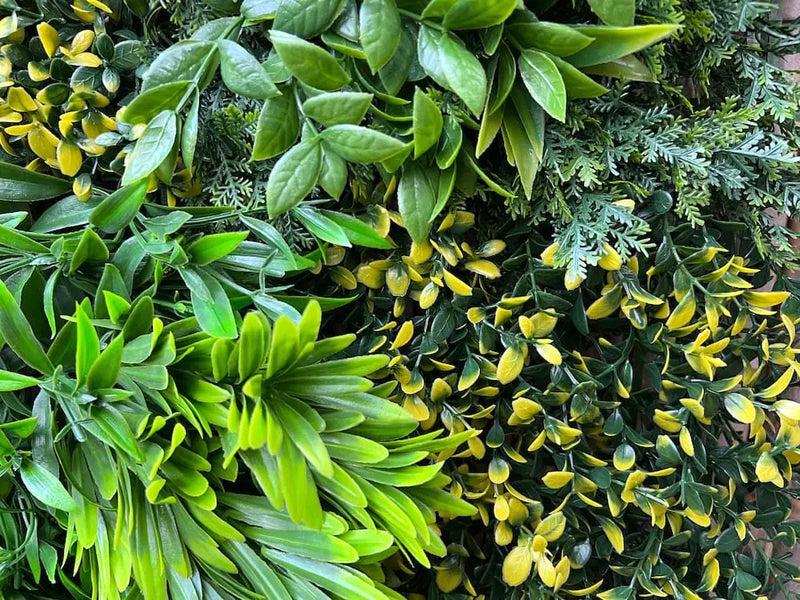 Декоративна плочка ПАПРАТ и АЗАЛИЯ UV 100х100 cm