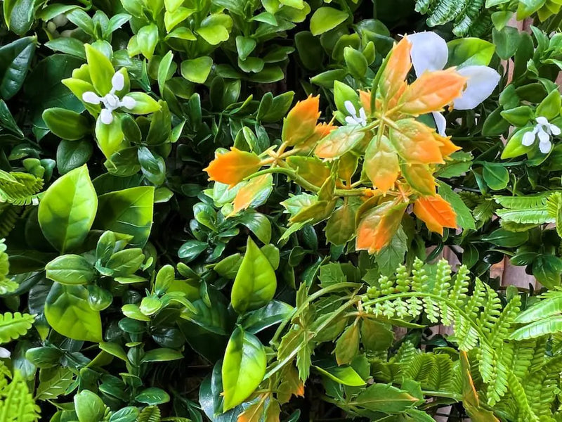 Декоративна плочка ПАПРАТ, ЖАСМИН и ФАЛАРИС UV 100х100 cm