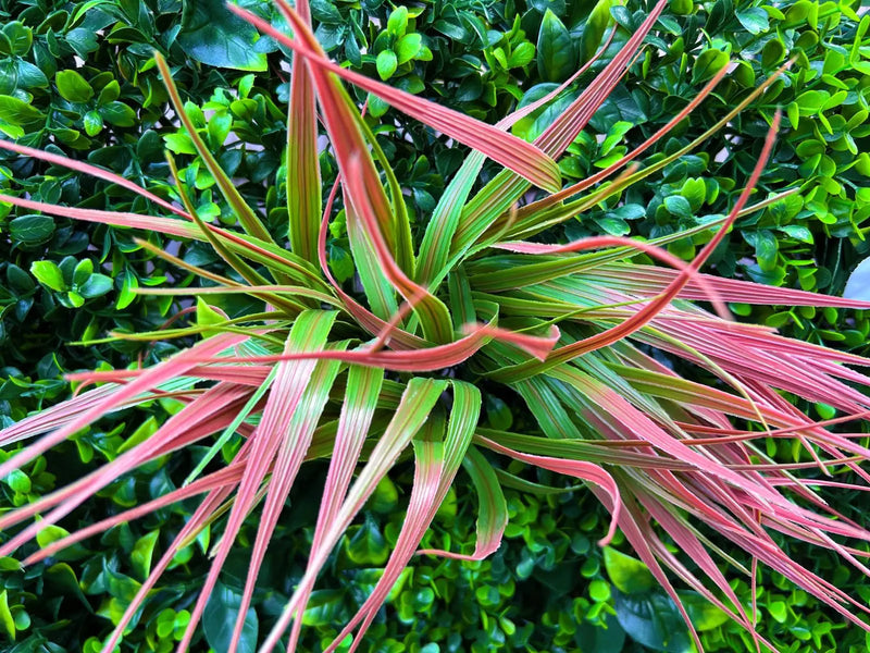 Декоративна плочка ПАПРАТ, ЖАСМИН и ФАЛАРИС UV 100х100 cm