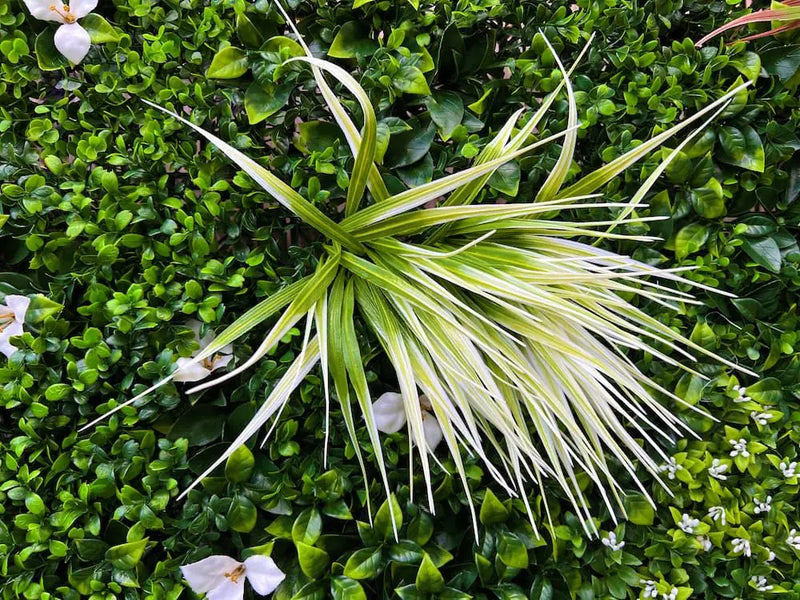 Декоративна плочка ПАПРАТ, ЖАСМИН и ФАЛАРИС UV 100х100 cm