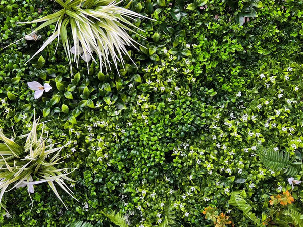 Декоративна плочка ПАПРАТ, ЖАСМИН и ФАЛАРИС UV 100х100 cm