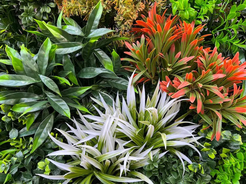 Декоративна плочка ПАПРАТ и ЛИЛИУМ UV 100x100 cm