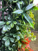 Декоративна плочка ПАПРАТ и ЛИЛИУМ UV 100x100 cm