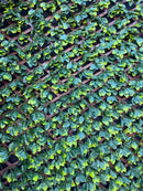 Декоративна ограда Хармоника UV ГАРДЕНИЯ II 1.0х2.0 m