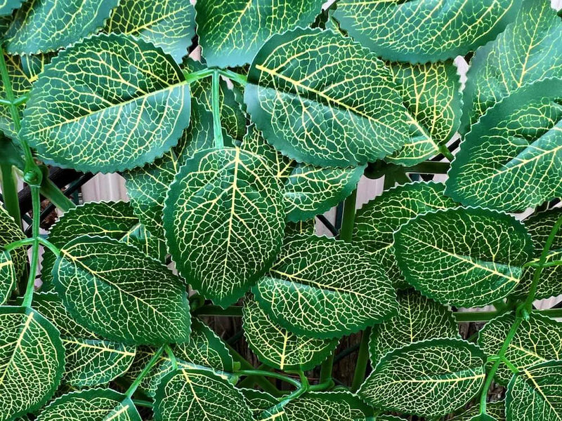 Декоративни плочки АЗАЛИЯ UV 4 броя 50x50 cm