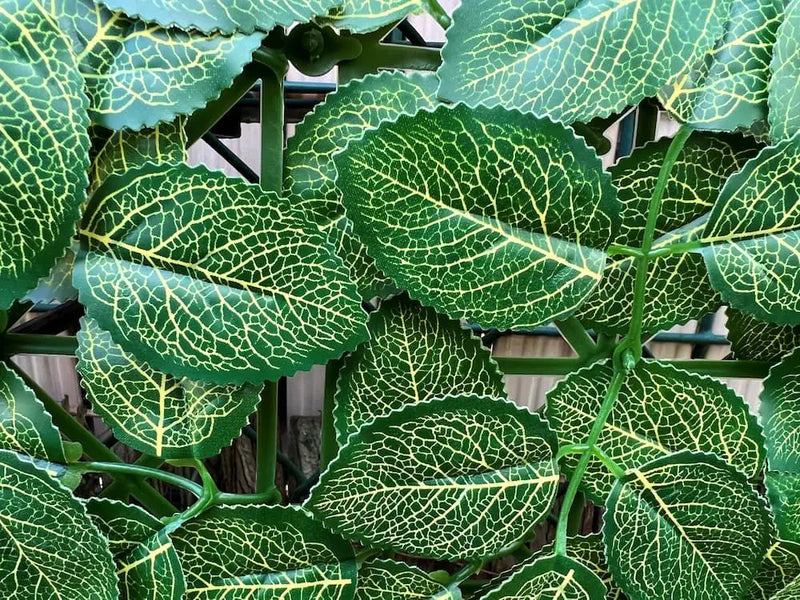 Декоративни плочки АЗАЛИЯ UV 4 броя 50x50 cm