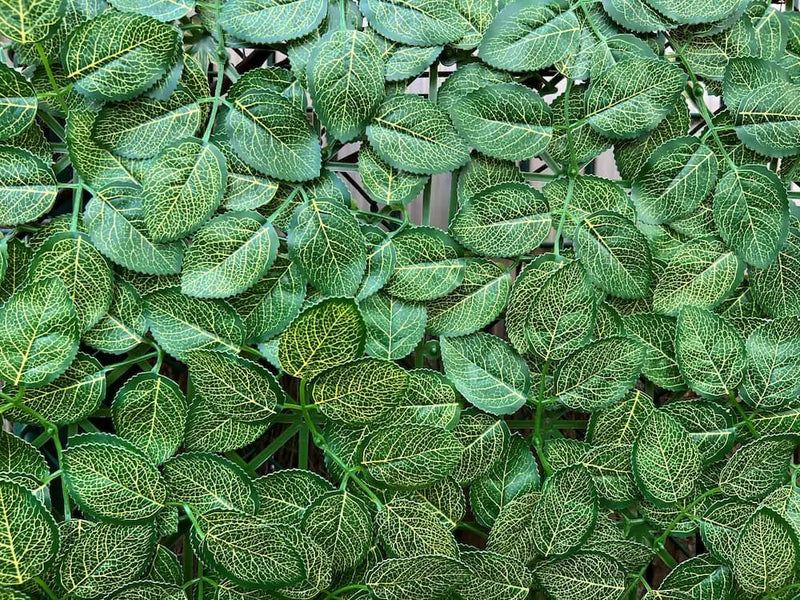 Декоративни плочки АЗАЛИЯ UV 4 броя 50x50 cm