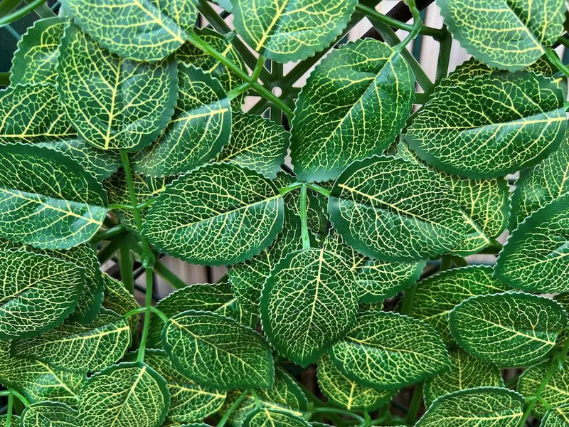 Декоративни плочки АЗАЛИЯ UV 4 броя 50x50 cm