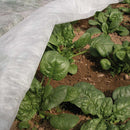 Покривало Ортоцлима Плюс над зелени зеленчуци, защитаване от студ и ултравиолетови лъчи.