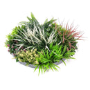 Декоративно кръгло пано за стена ПАПРАТ, ФАЛАРИС с акцент бордо UV Ø50 cm