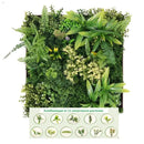 Декоративно квадратно пано за стена ПАПРАТ, ФАЛАРИС, КЛИВИЯ UV 50х50 cm