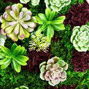 Декоративно кръгло пано за стена СКАНДИНАВСКИ МЪХ и СУКУЛЕНТНИ РАСТЕНИЯ UV Ø50 cm