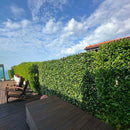 Декоративна ограда Хармоника UV МАСЛИНА 1.0х2.0 m