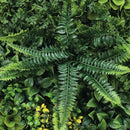 Декоративна плочка ПАПРАТ, МЪХ и ТРОПИЧЕСКИ РАСТЕНИЯ с жълт акцент UV 50х50 cm